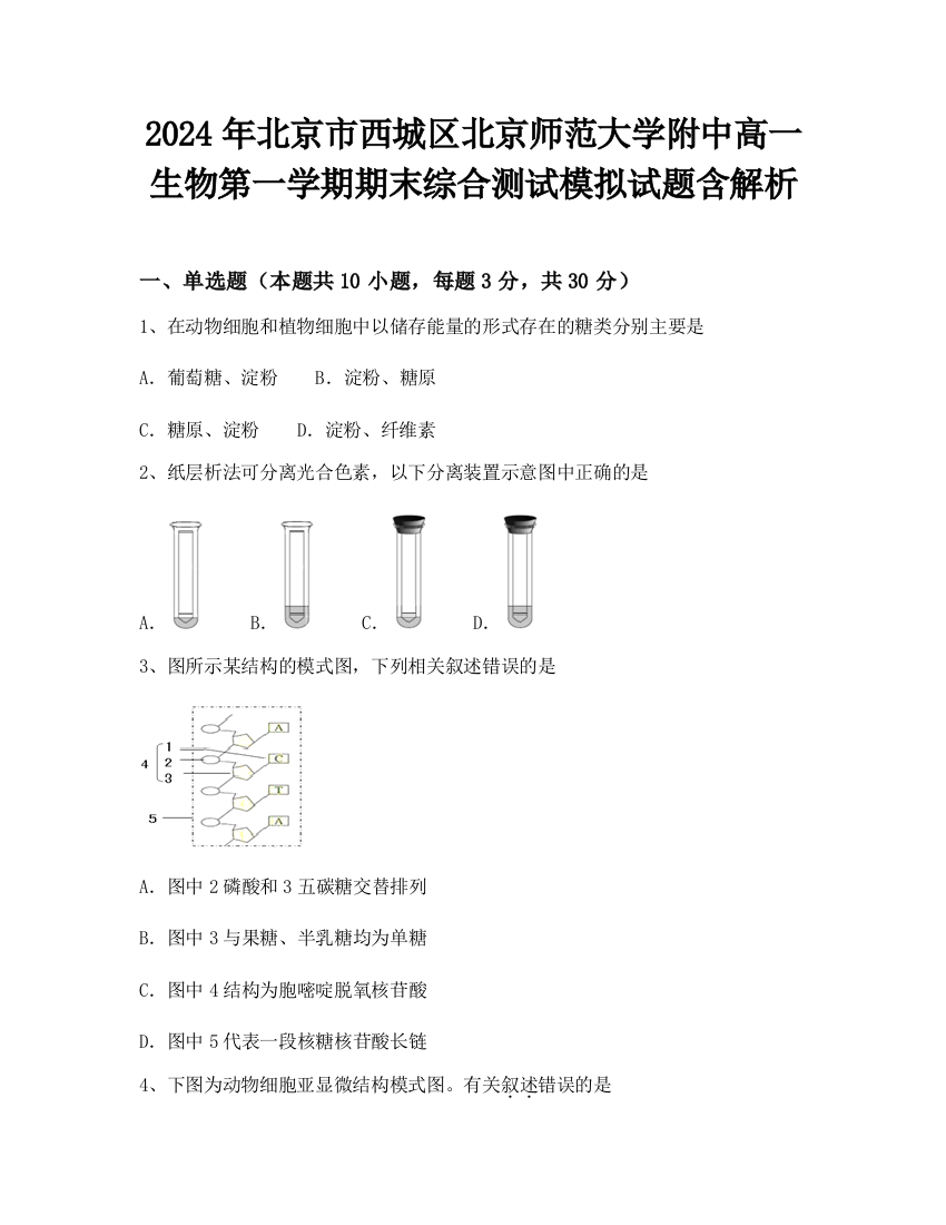 2024年北京市西城区北京师范大学附中高一生物第一学期期末综合测试模拟试题含解析