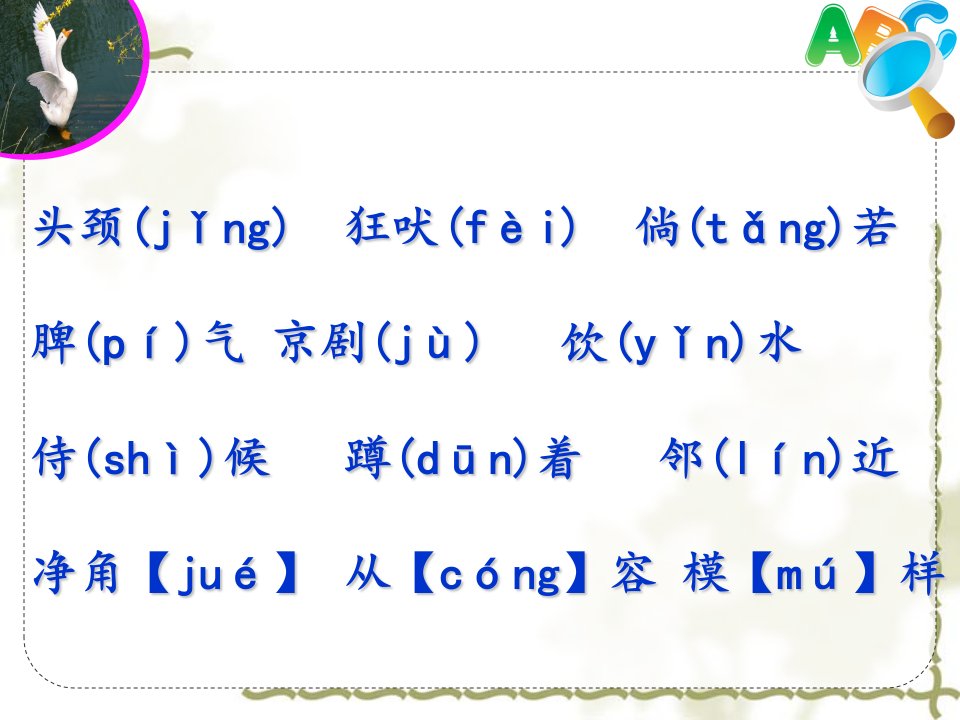 《白鹅》公开课