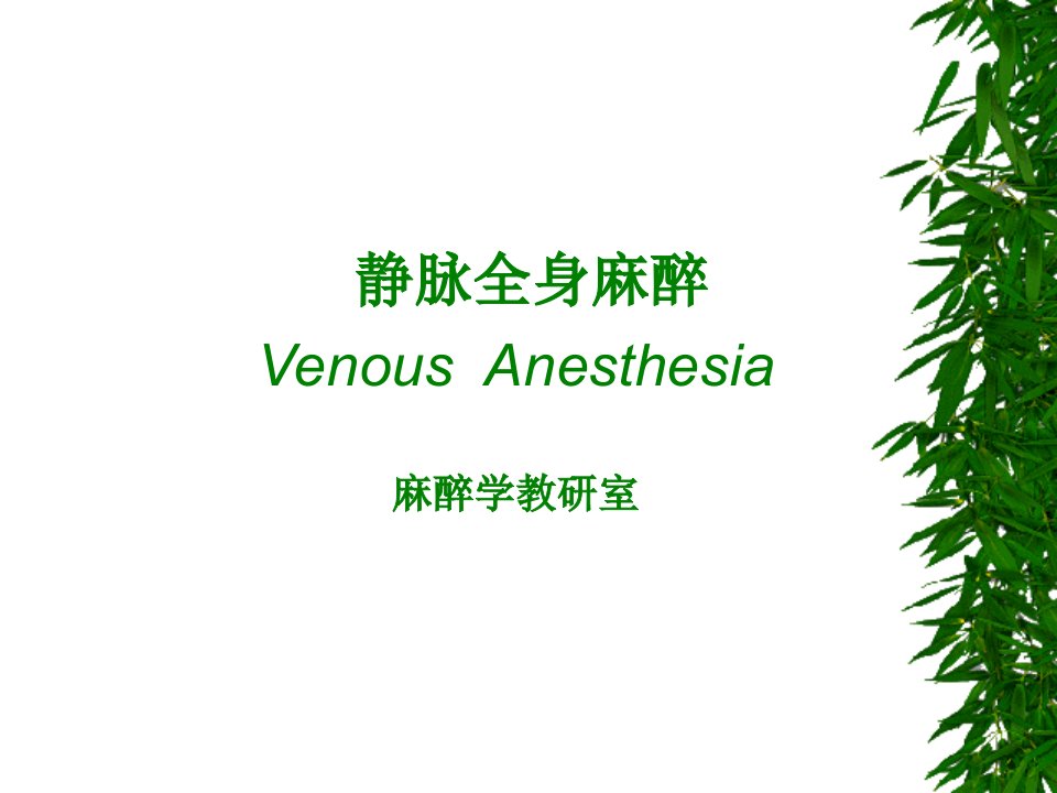 静脉全身麻醉Venous