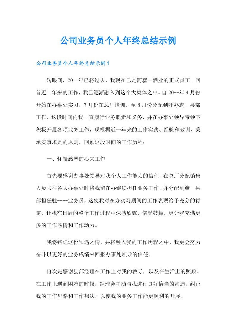 公司业务员个人年终总结示例