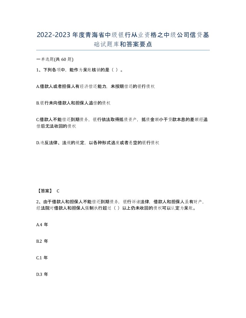 2022-2023年度青海省中级银行从业资格之中级公司信贷基础试题库和答案要点