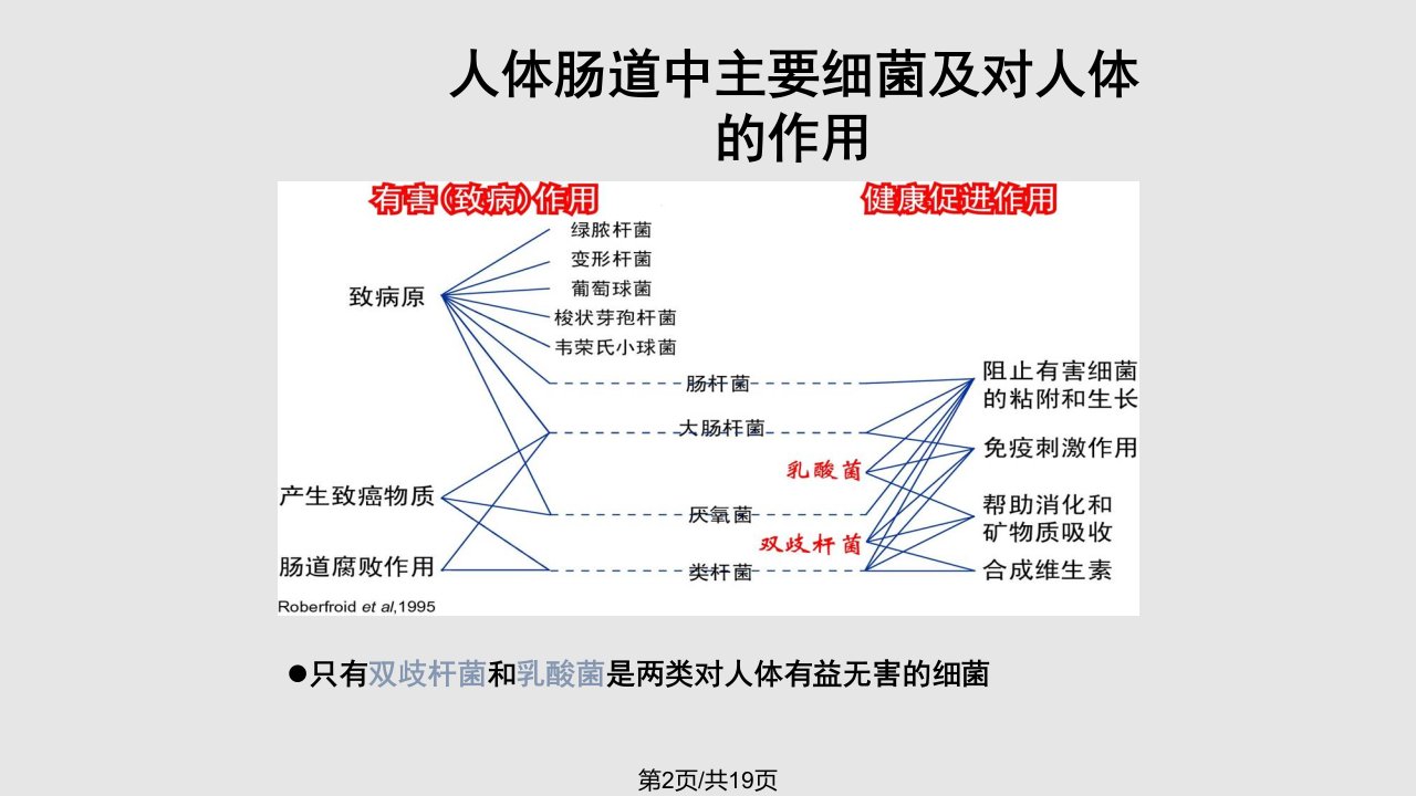 金装a乳清蛋白