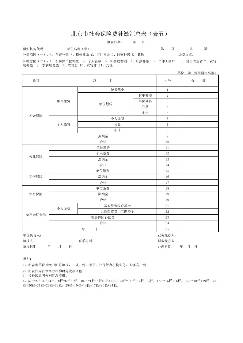 北京市社会保险费补缴汇总表(表五)