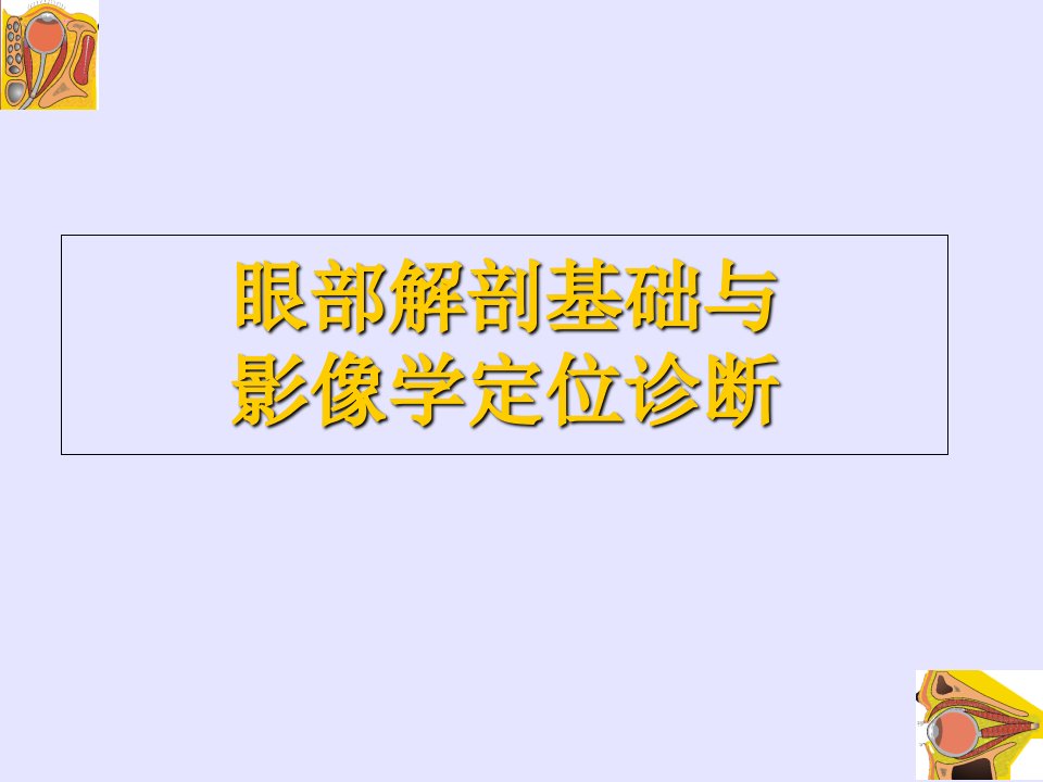 眼眶解剖影像学定位