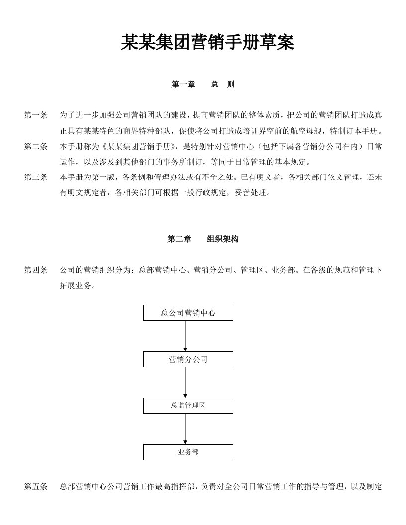 某某集团营销手册草案