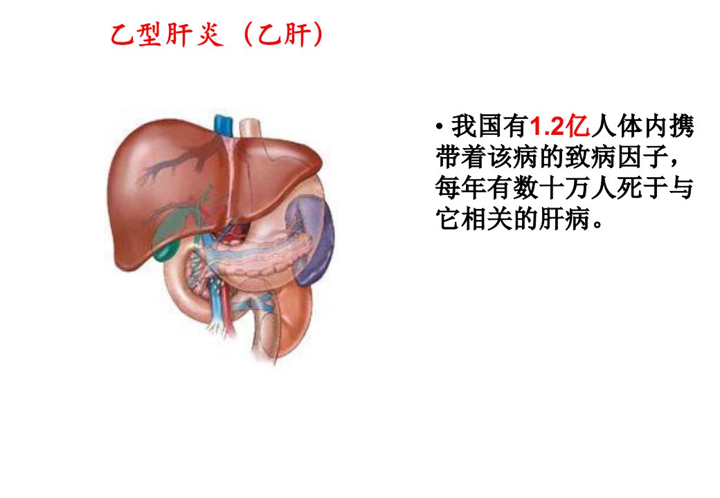 病毒课件说课讲解