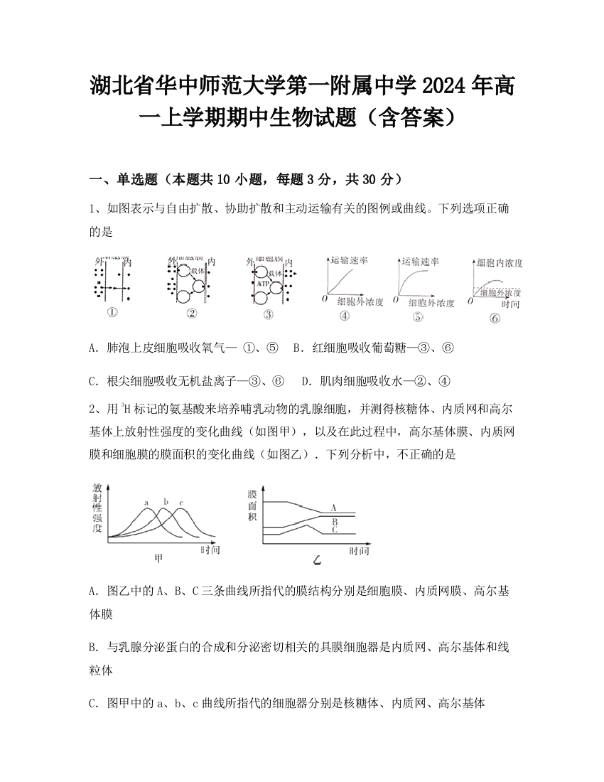 湖北省华中师范大学第一附属中学2024年高一上学期期中生物试题（含答案）