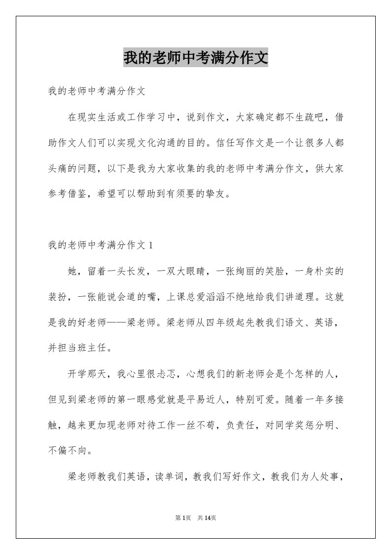 我的老师中考满分作文例文