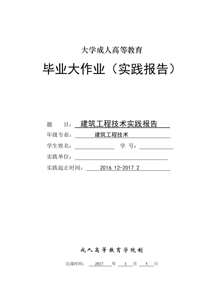 成人高等教育实践报告