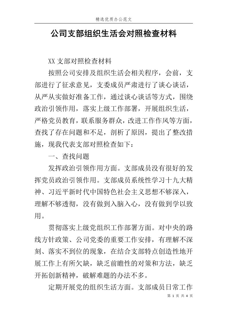 公司支部组织生活会对照检查材料范文