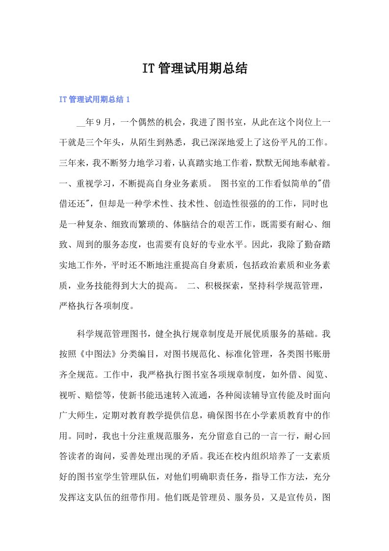 IT管理试用期总结