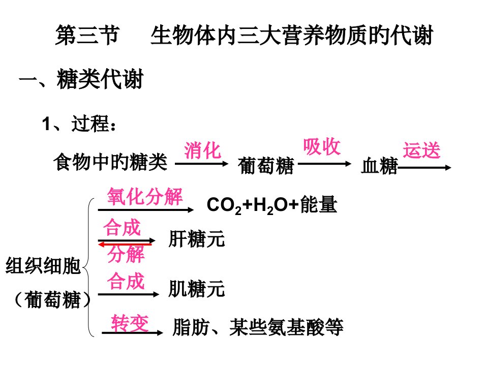 生物体内营养物质的转变市公开课获奖课件省名师示范课获奖课件