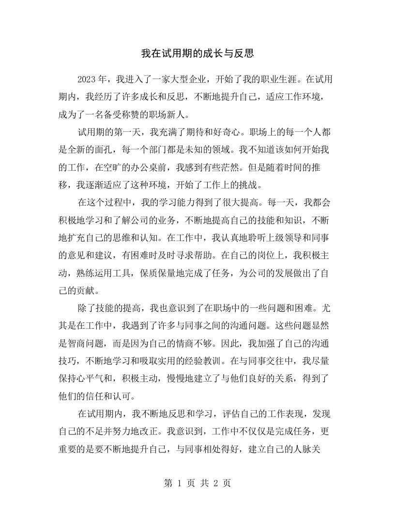 我在试用期的成长与反思