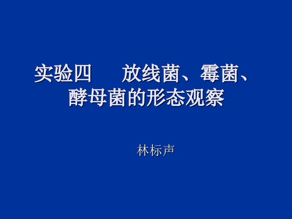 微生物实验四放线菌、霉菌、酵母菌的形态观察ppt课件