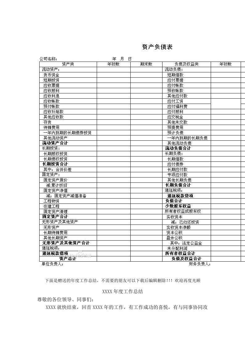 2007年资产负债表模板