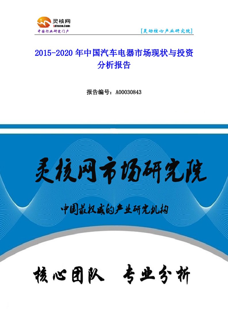 中国汽车电器行业市场分析与发展趋势研究报告-灵核网