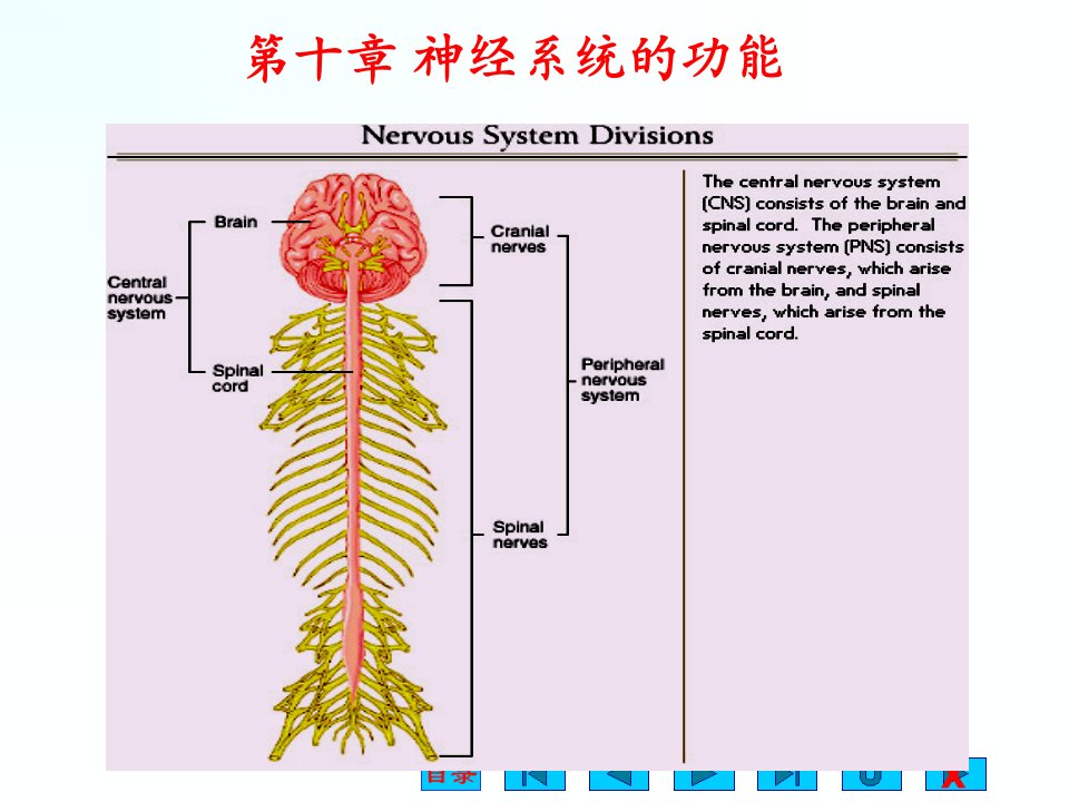 生理学