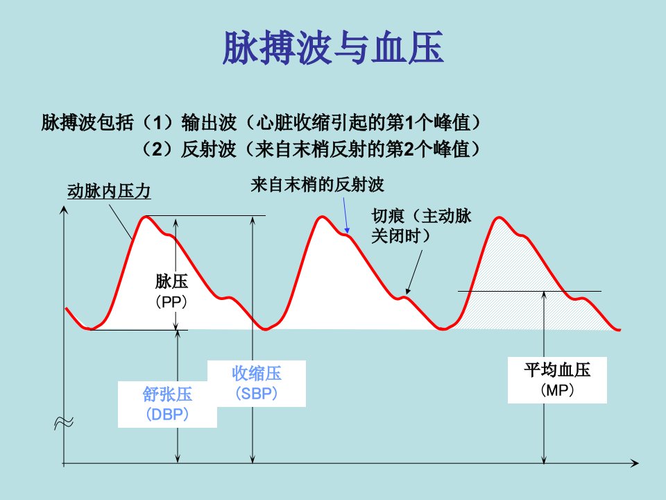 中心动脉压与其临床意义ppt课件