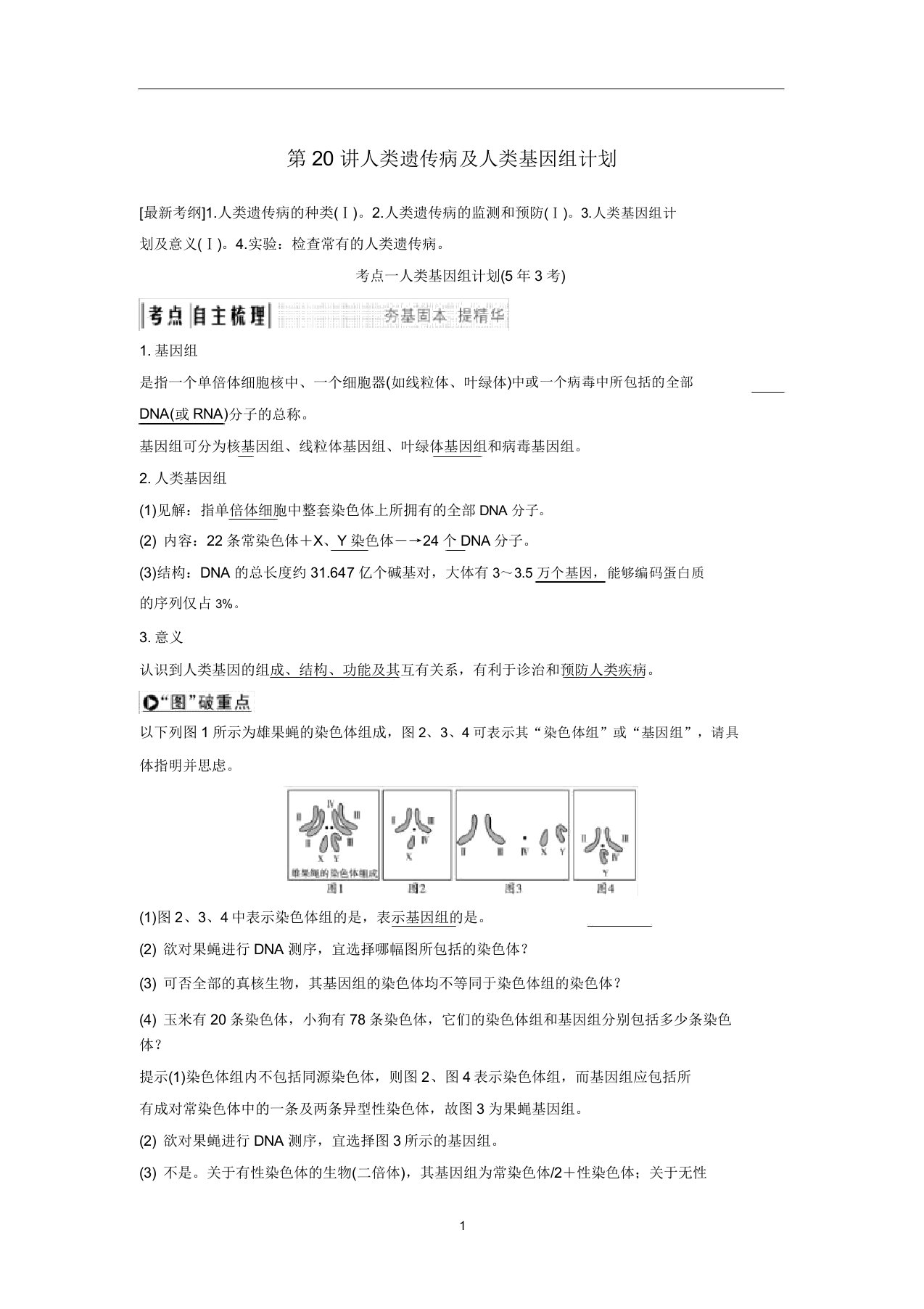 高考生物一轮复习第八单元第20讲人类遗传病及人类基因组计划教案中图版必修2