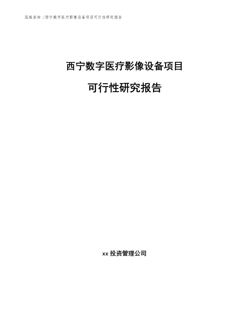 西宁数字医疗影像设备项目可行性研究报告（参考模板）