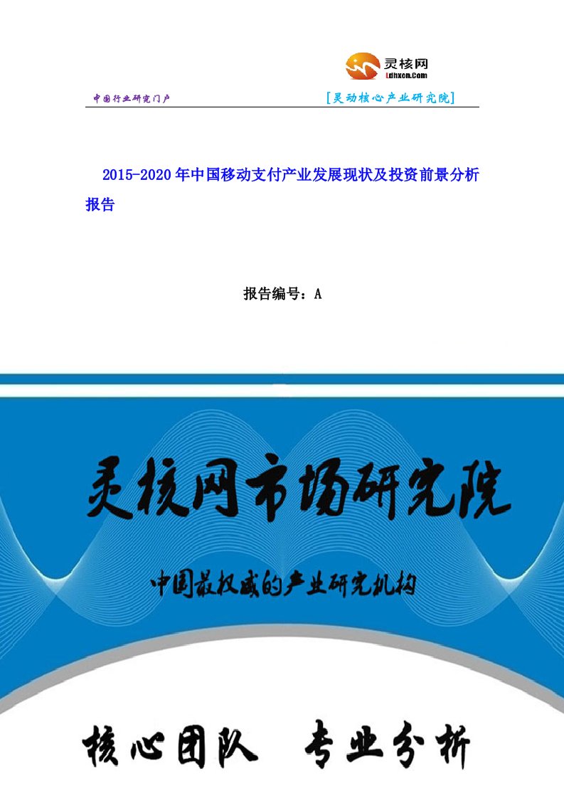 中国移动支付行业市场分析与发展趋势研究报告灵核网