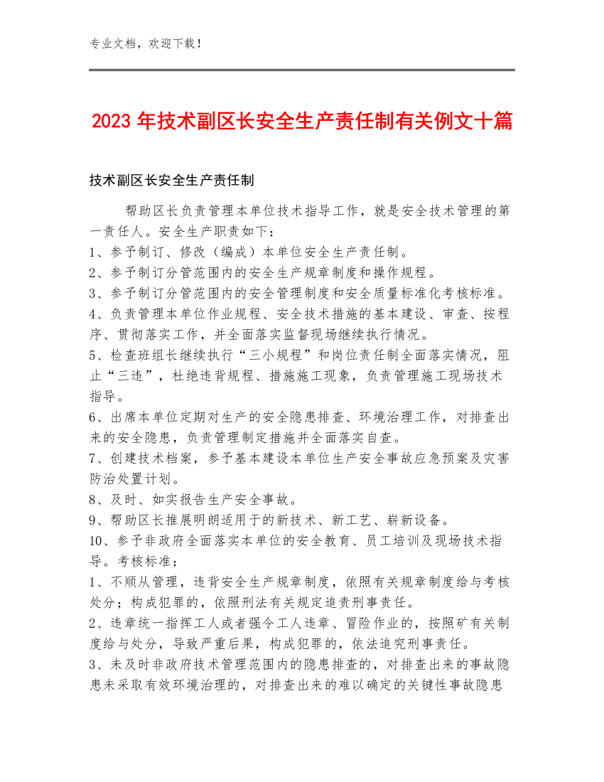 2023年技术副区长安全生产责任制例文十篇