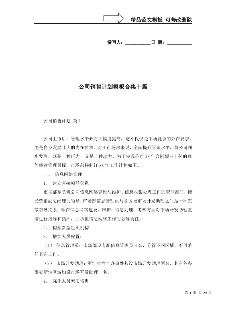 公司销售计划模板合集十篇一