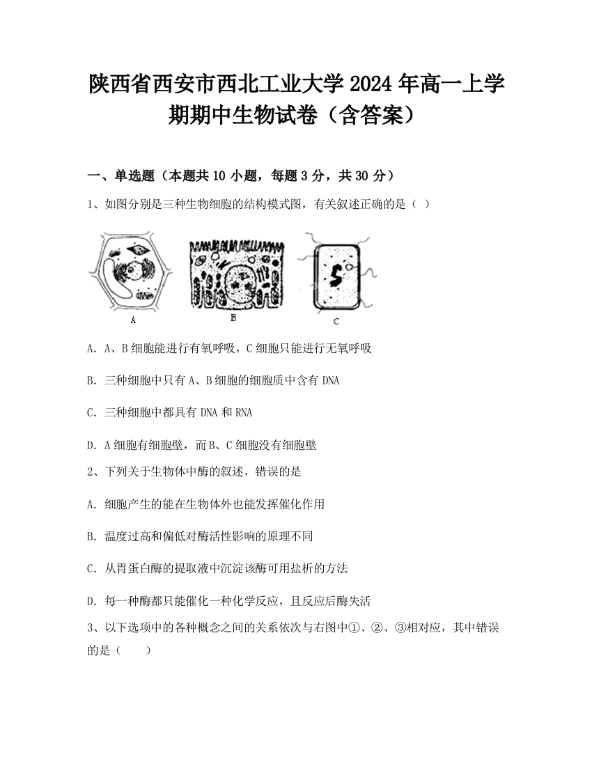 陕西省西安市西北工业大学2024年高一上学期期中生物试卷（含答案）