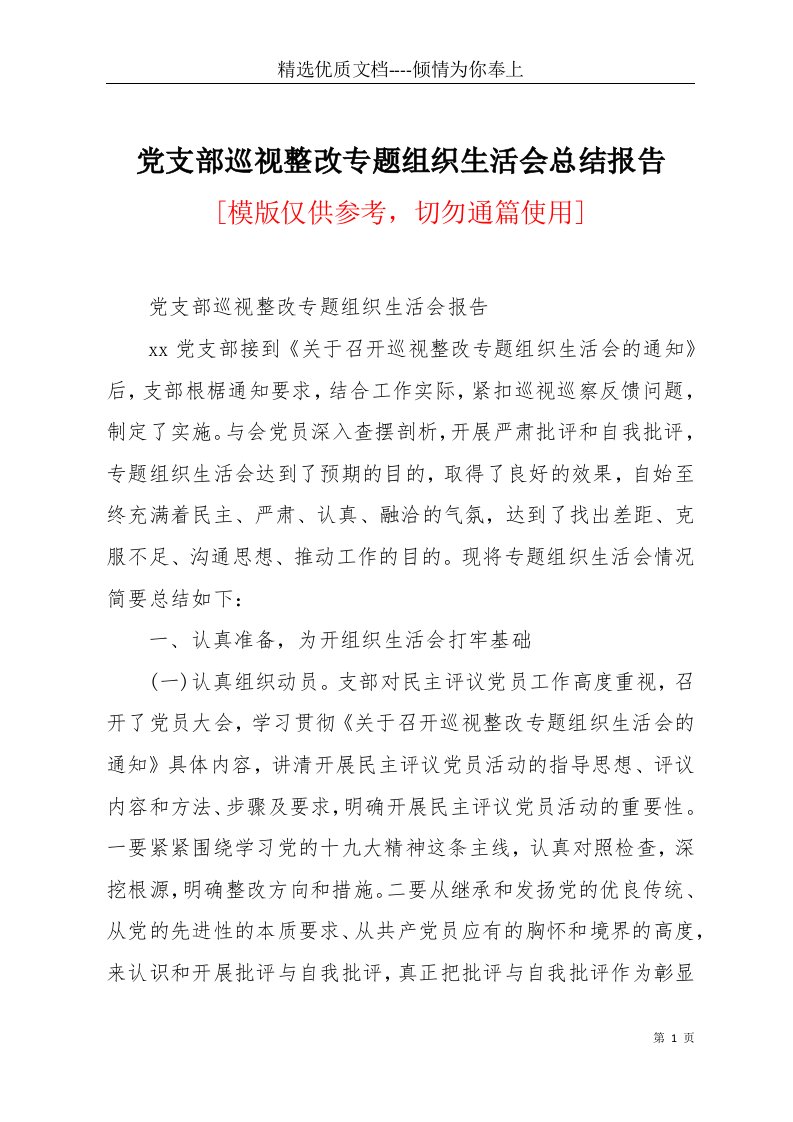 党支部巡视整改专题组织生活会总结报告(共3页)