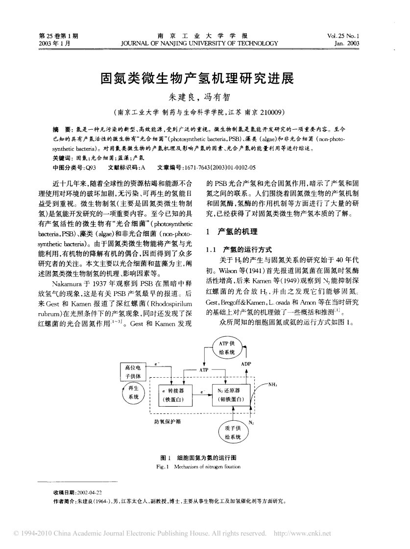 固氮类微生物产氢机理研究进展