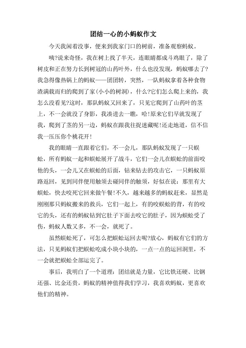 团结一心的小蚂蚁作文