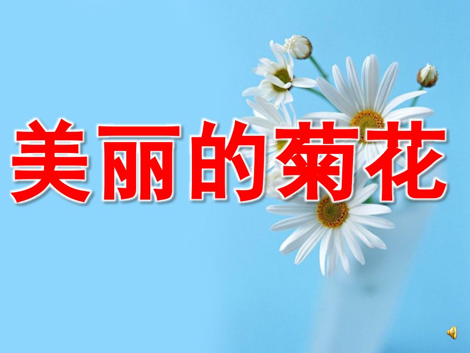 小班科学《美丽的菊花》PPT课件教案配音PPT课件