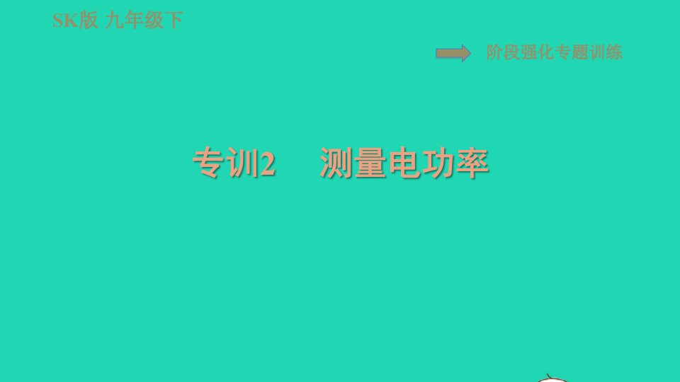 2021九年级物理全册第十五章电功与电热15.2阶段强化专题训练专训2测量电功率习题课件新版苏科版