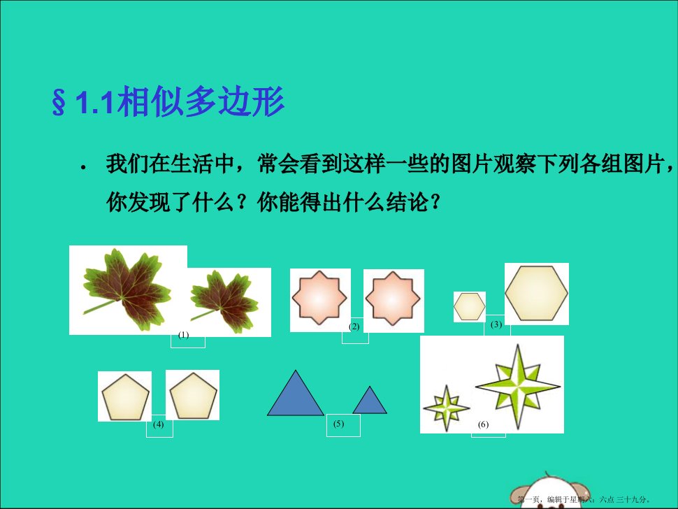 九年级数学上册第1章图形的相似1.1相似多边形课件新版青岛版