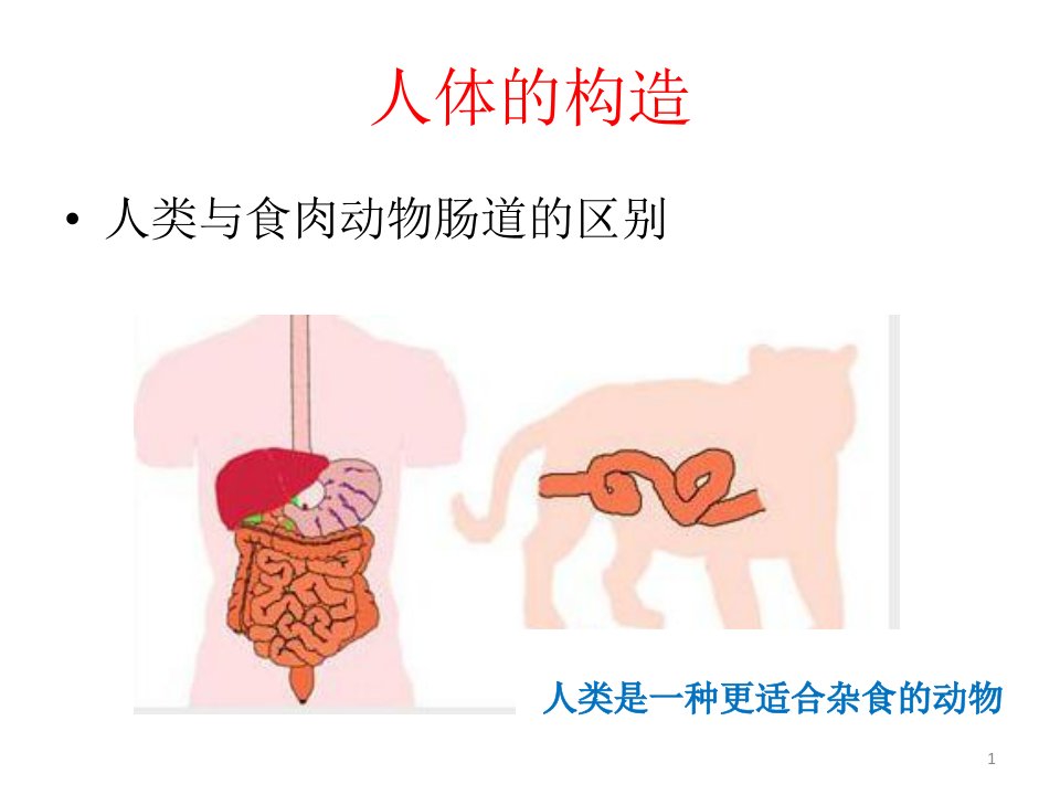 吃出健康的你