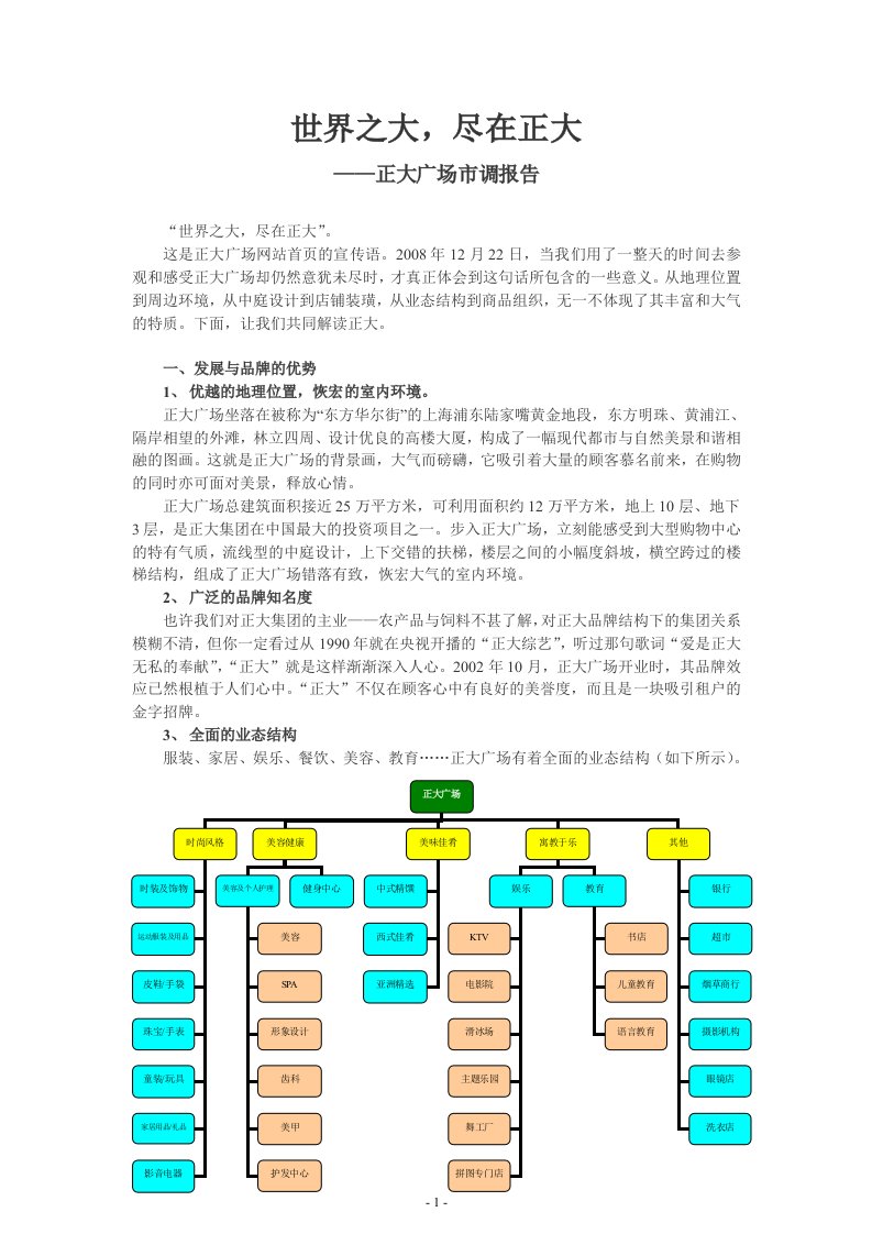 正大广场市场调研报告