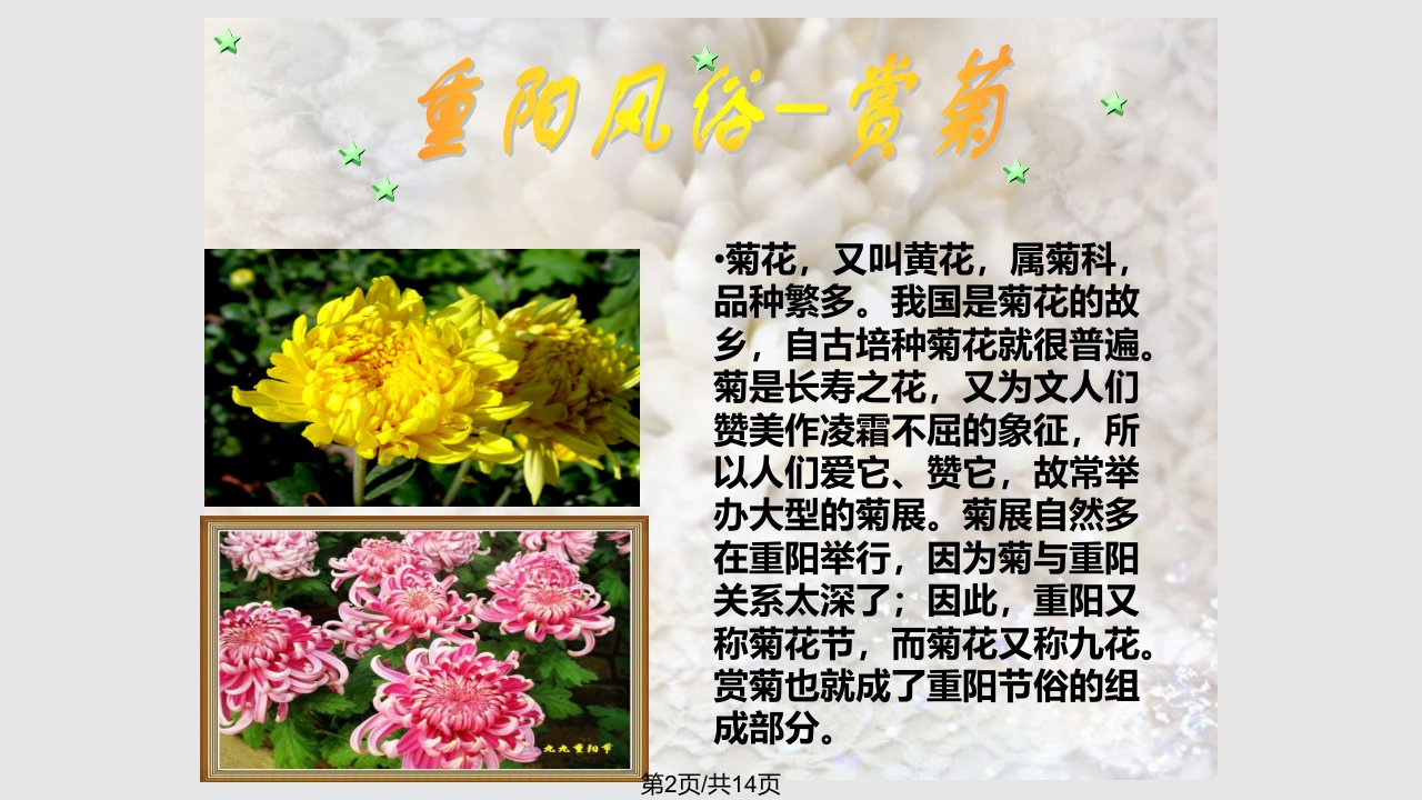 重阳节道德讲堂