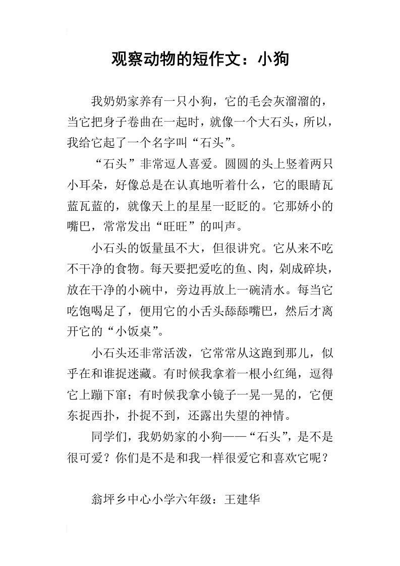 观察动物的短作文：小狗