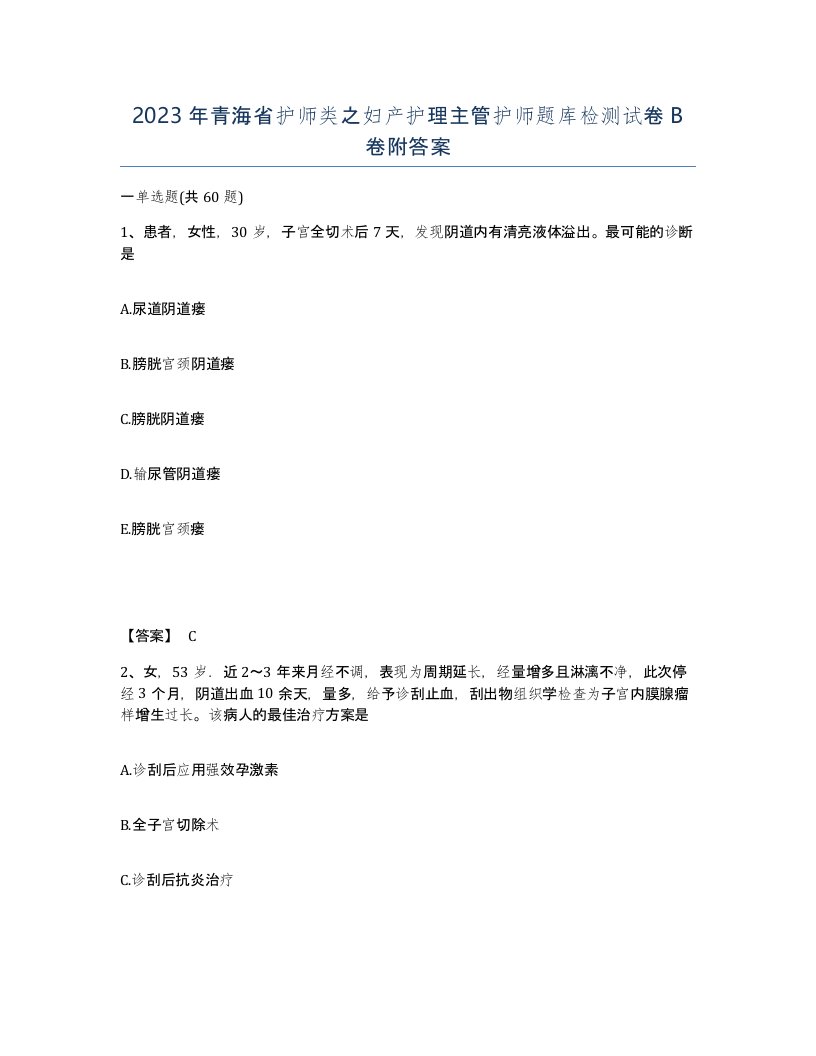 2023年青海省护师类之妇产护理主管护师题库检测试卷B卷附答案