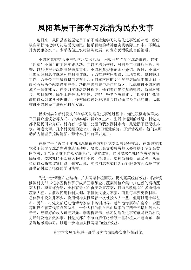 凤阳基层干部学习沈浩为民办实事