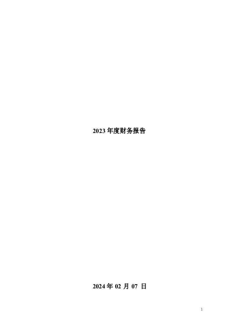 七彩化学：2023年年度财务报告