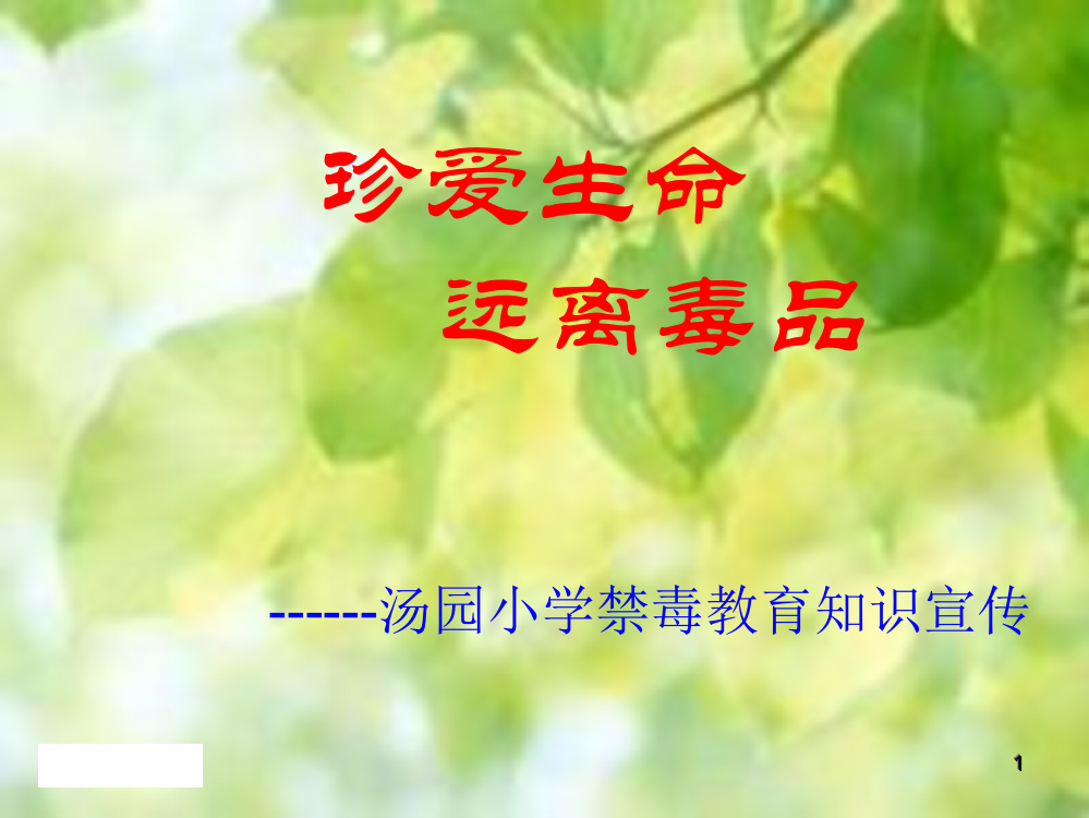 四年级禁毒教育