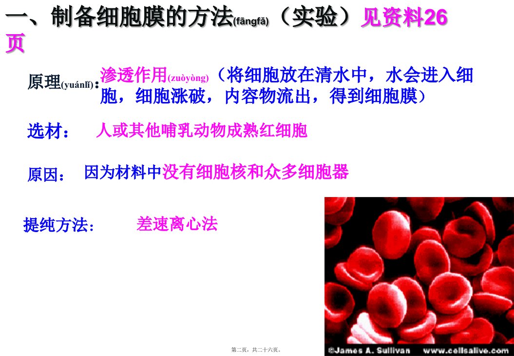 医学专题细胞膜一轮复习细胞膜的结构与功能M