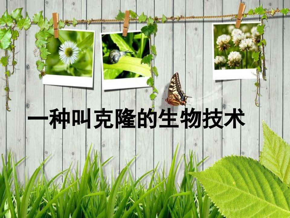 《克隆生物技术》PPT课件