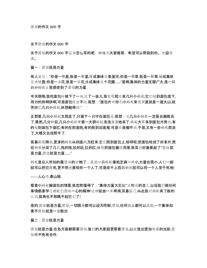 团结的作文800字