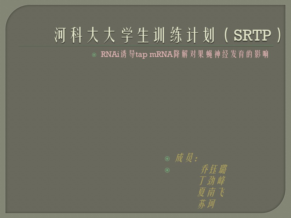 河南科技大学大学生研究训练计划(SRTP)项目申请书-《RN