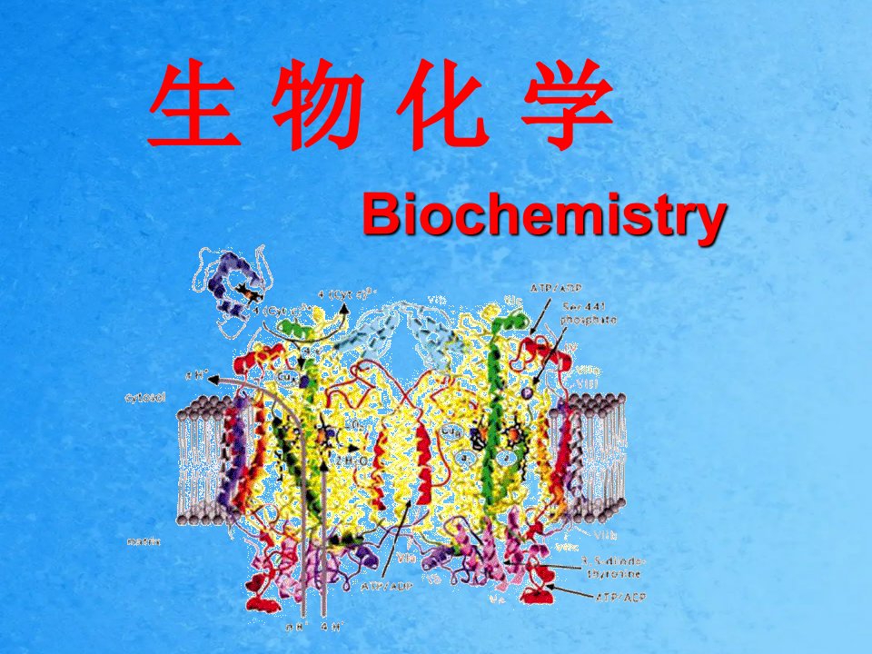 医学生物化学绪论案例ppt课件