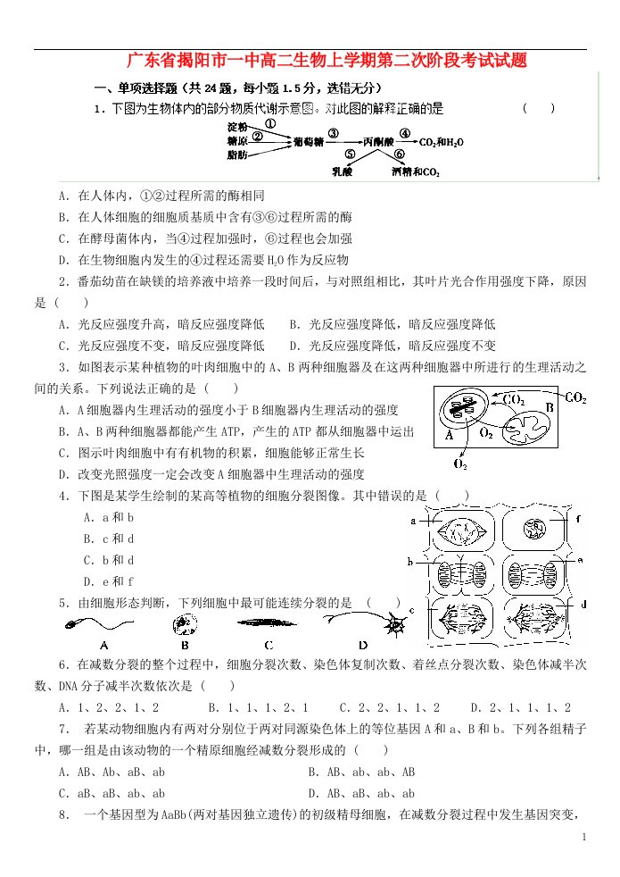 广东省揭阳市一中高二生物上学期第二次阶段考试试题