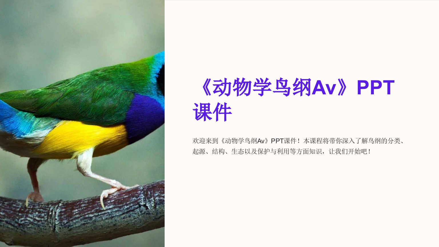 《动物学鸟纲Av》课件