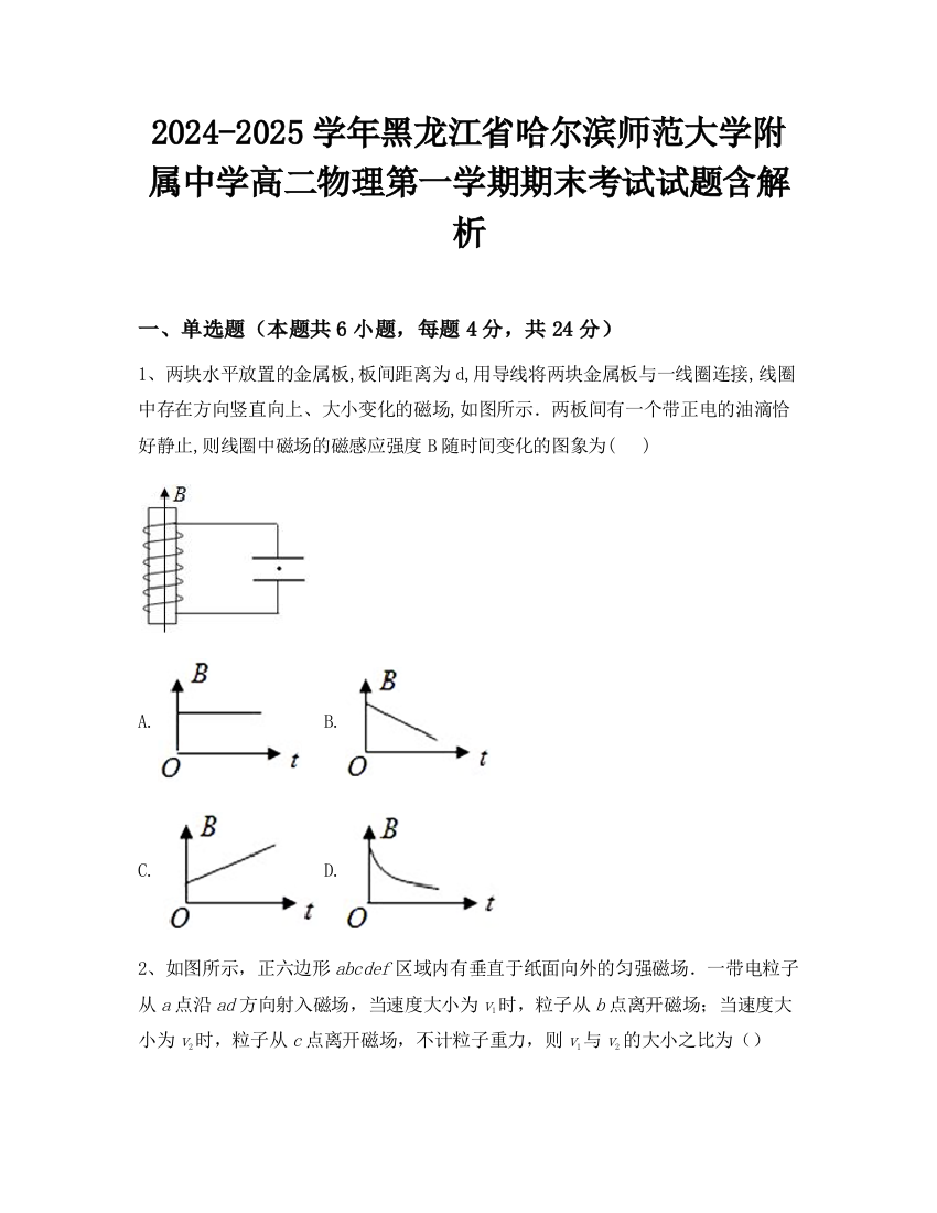 2024-2025学年黑龙江省哈尔滨师范大学附属中学高二物理第一学期期末考试试题含解析